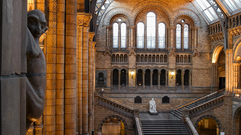 The grand interiors of the Natural History Museum in London