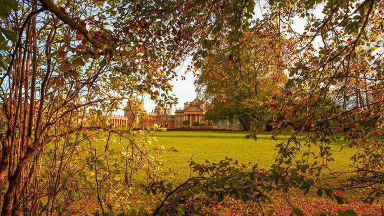 The grounds of Blenheim Palace in autumn
