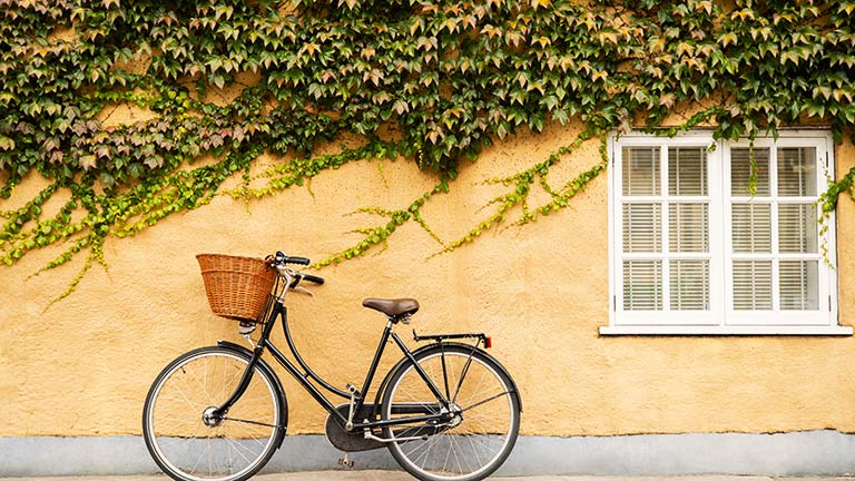 A bicycle outside of a creeper-clad cottage in Oxford
