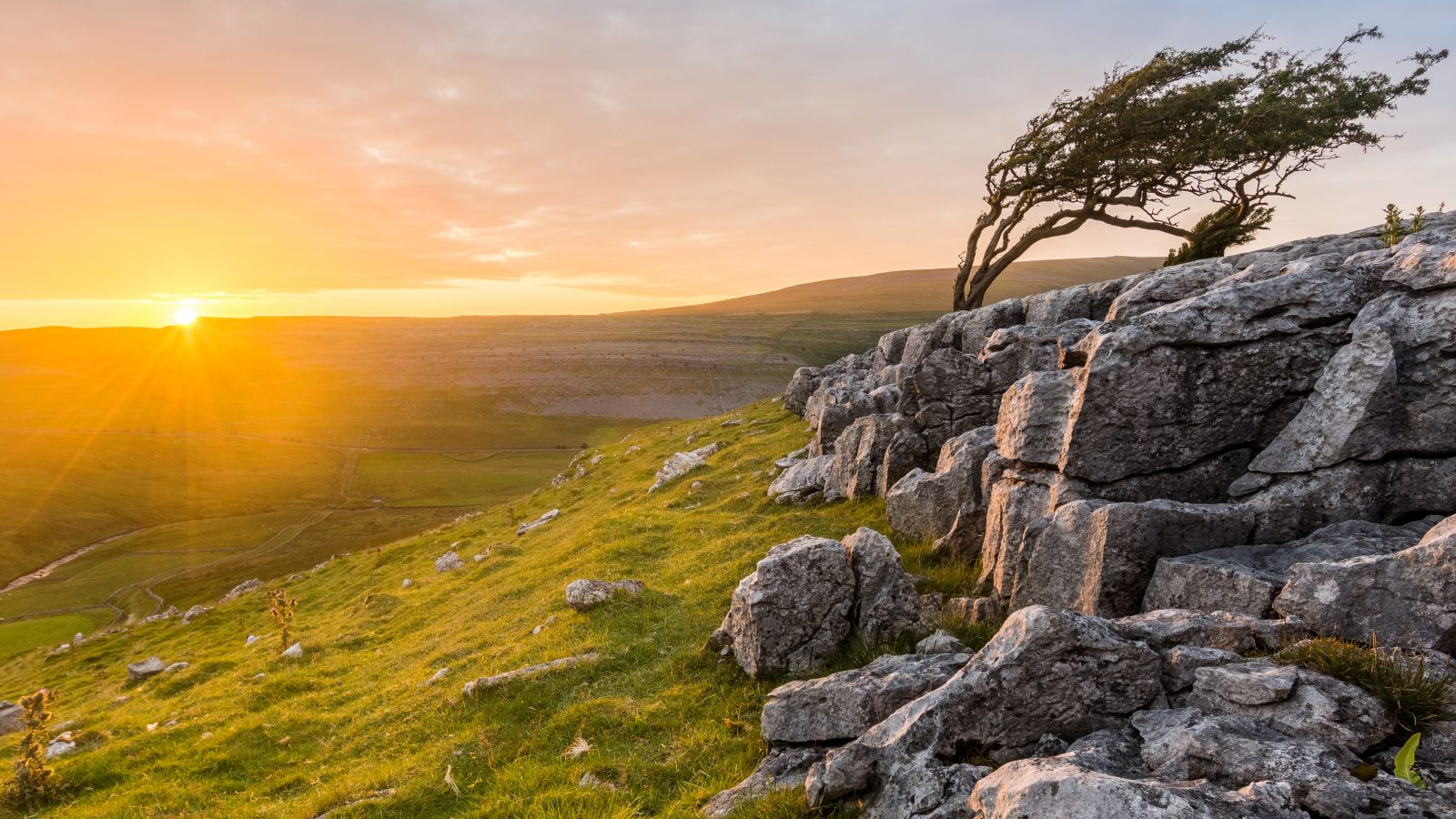 Dog Friendly Holidays In Yorkshire Dales