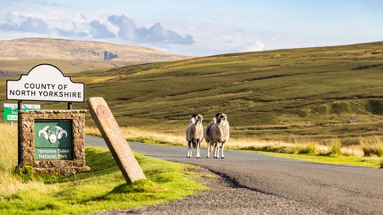 A Guide to the Yorkshire Dales