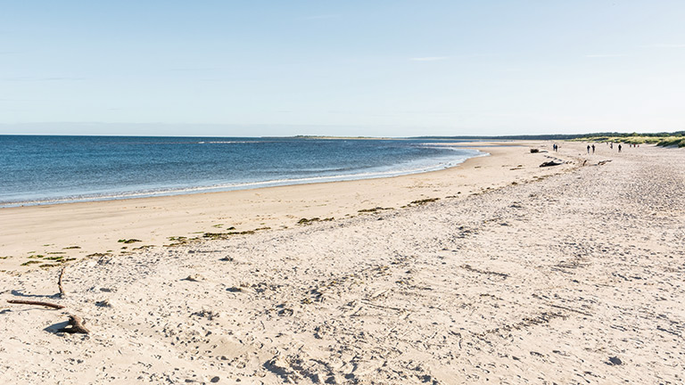 The white sands and sapphire sea of East Beach Nairn