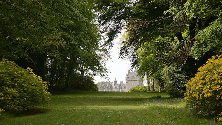 A grassy avenue lined with trees, with views of Castle Kennedy