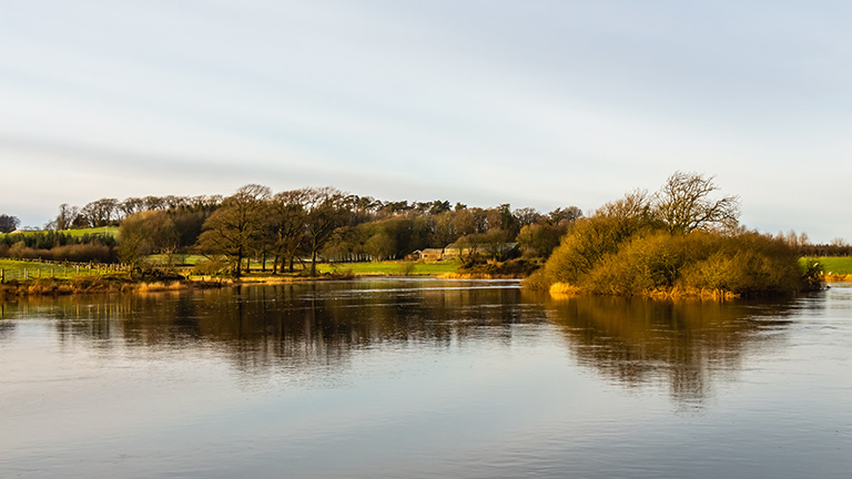 The beautiful waterside grounds of Threave Castle