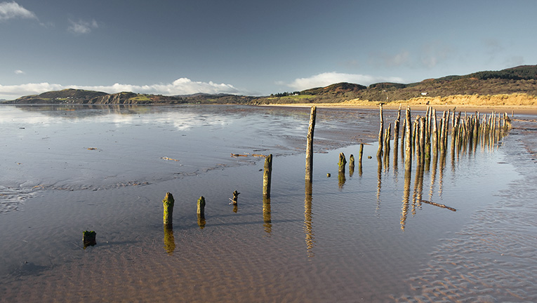 The coastline at RSPB Mersehead, Scotland