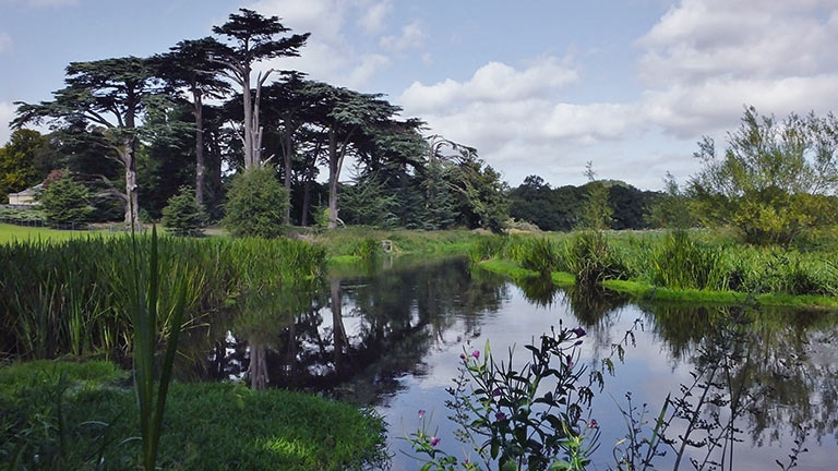 The verdant landscapes and glassy lakes of Attingham Park Estate