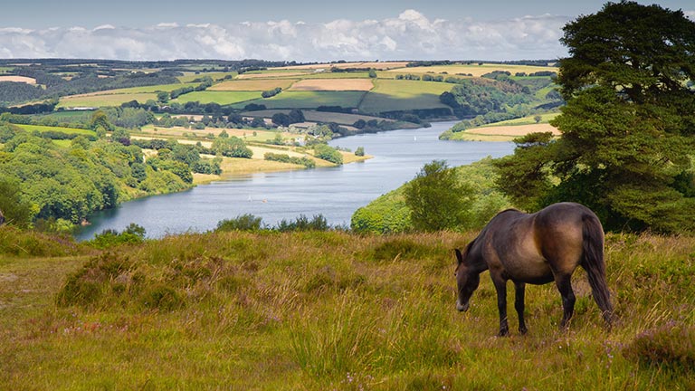 A view over Wimbleball Lake in Exmoor National Park