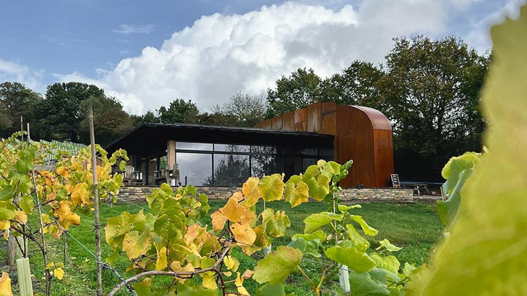 A view of Wraxhall Vineyard visitor centre through leafy vines in Somerset
