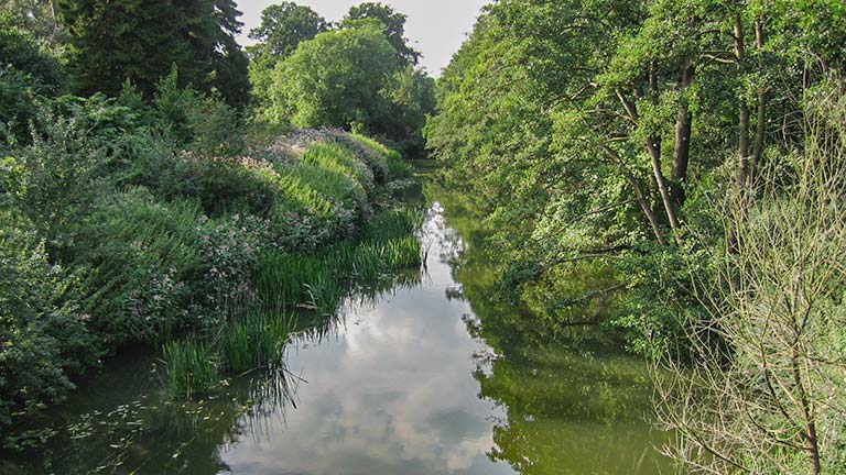 The Tillingbourne River in Surrey shrouded in leafy trees 