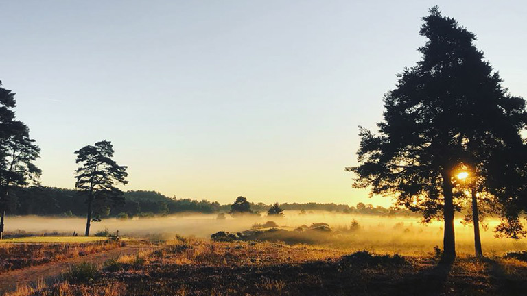 A misty sunrise over Hankley Common