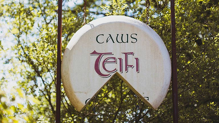 The cheese wheel sign of Caws Teifi Cheese visitor attraction